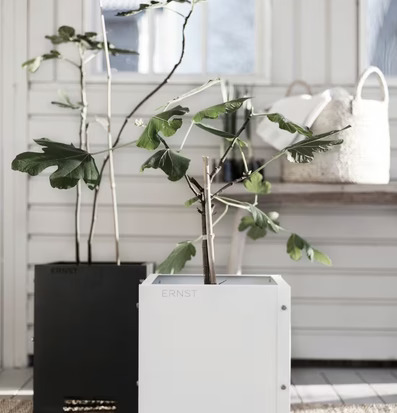 Bild av modern inredning med vita plåtkrukor och växter