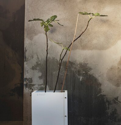 Bild av stilren vit plåtkruka med växt i rustik miljö