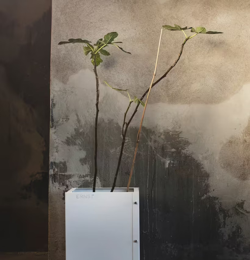 Plåtkruka ERNST Vit från Ernst med unga trädplantor