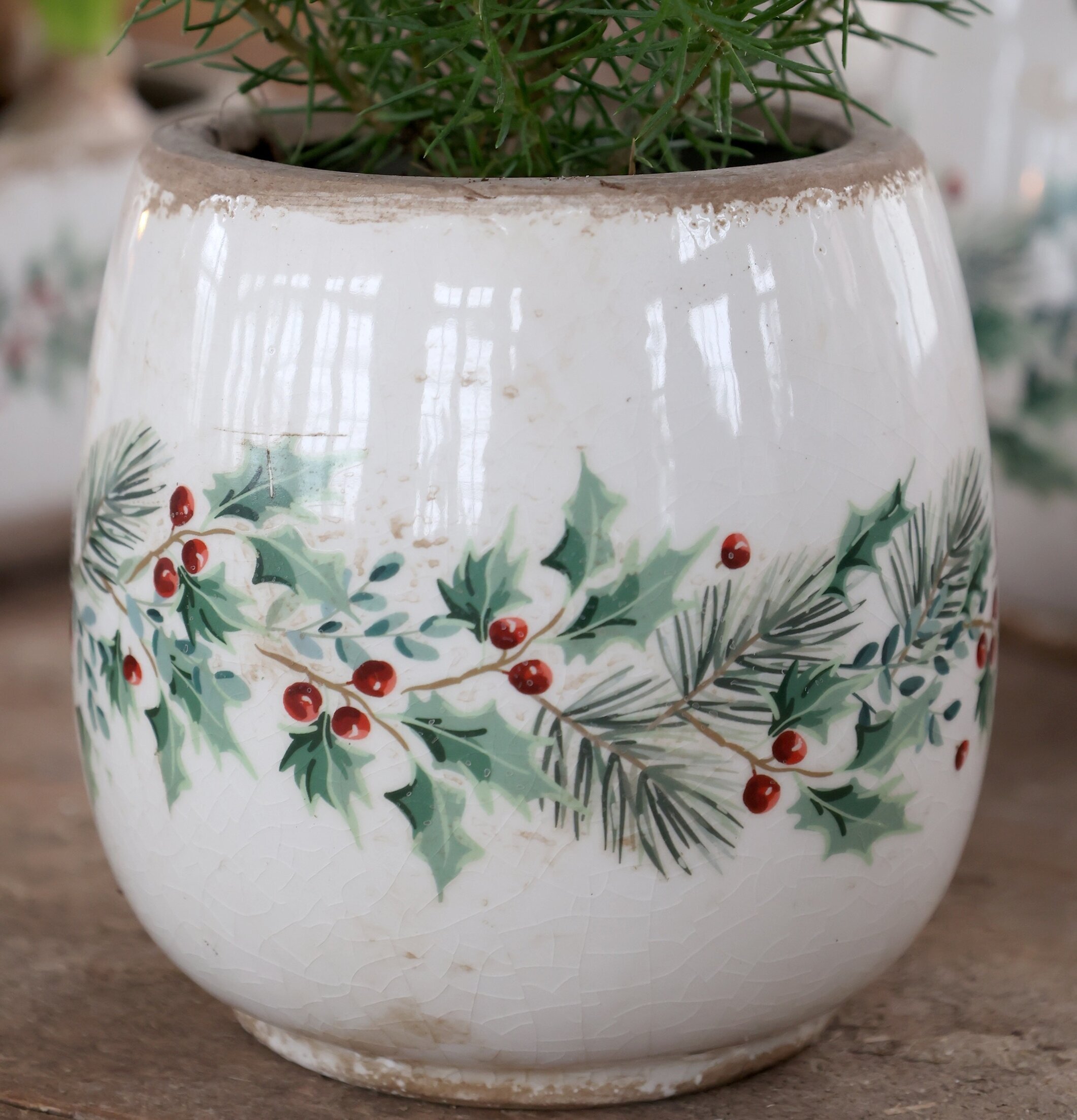 Ytterkruka Järnek Creme 16,5 cm Chic Antique Krukor Örtkrukor Glaskrukor