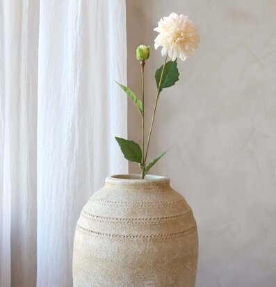 Foto: Stillben med champagnevit dahlia i kruka inomhus