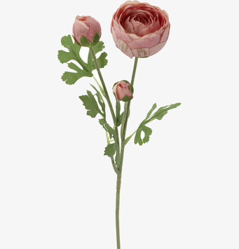 Foto: Frilagd rosa ranunkelkvist med knoppar 52 cm