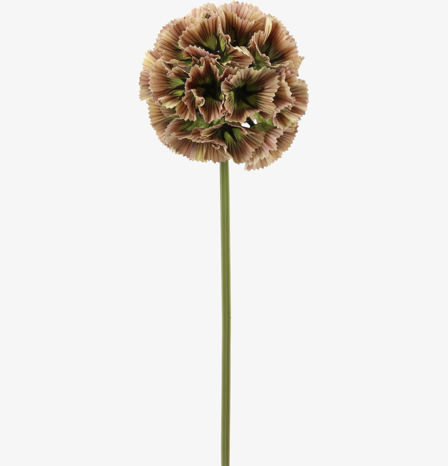 Fleur Stjärnskabiosa Dusty Rose 55 cm Chic Antique Konstväxter Konstblommor Plastväxter Plastblommor
