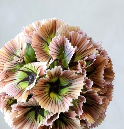 Fleur Stjärnskabiosa Dusty Rose 55 cm Chic Antique Konstväxter Konstblommor Plastväxter Plastblommor