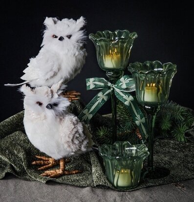 Foto: Ugglor, gröna glasljusstakar och granris julstilleben