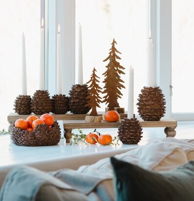 Bild: Julstilleben med kottskålar, ljus och citrus