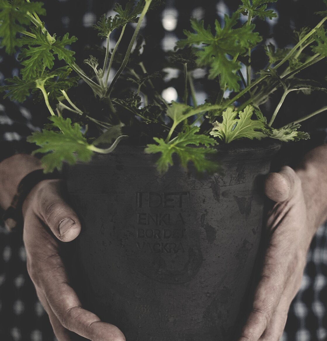 Kruka Grå Stor från Ernst med gröna växter i rustik miljö