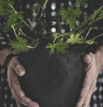 Foto av grå kruka med frodig växt och rutigt mönster