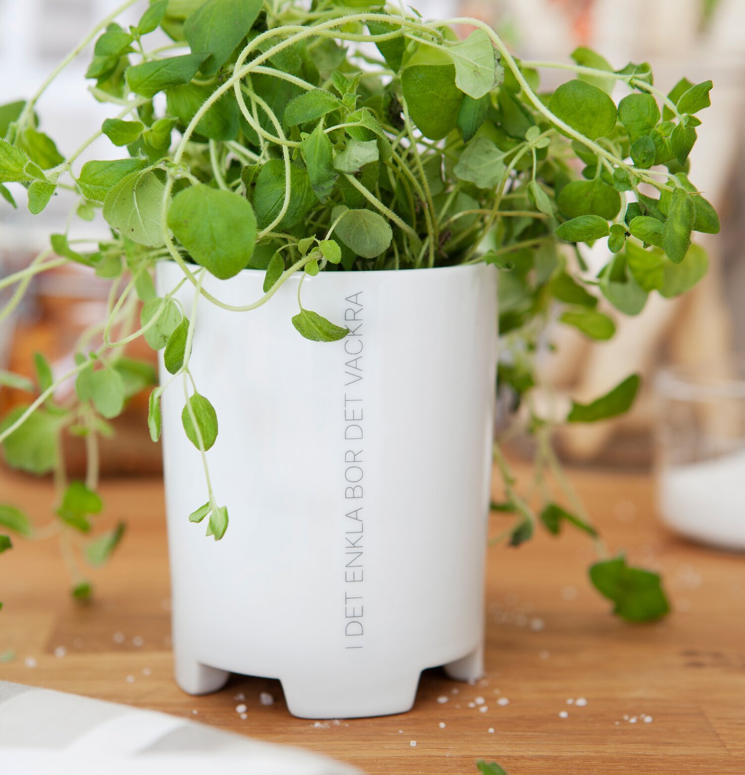 Ernst Mugg Citat Tid med örter på träyta i köksmiljö