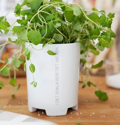 Bild av stilren mugg med växt och inspirerande text