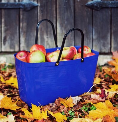 Bild av stilren väska på höstlöv med äpplen