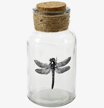 Bild av elegant glasflaska med trollslända och kork