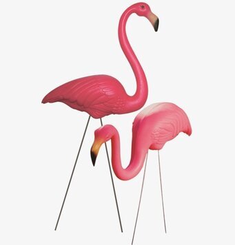 Bild av livfulla rosa flamingos för trädgårdsdekoration