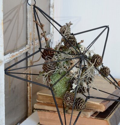 Bild av dekorativ stjärna med naturinspirerad dekoration