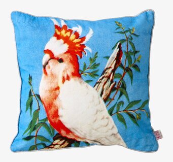 Bild av kudde med exotisk kakadua och turkos bakgrund