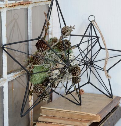 Bild av dekorativ stjärna i metall med naturdetaljer