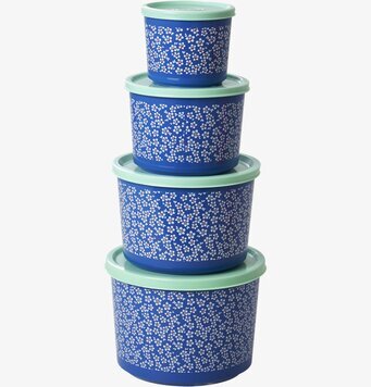 Bild av harmoniska matlådor med vinterblomsterdesign