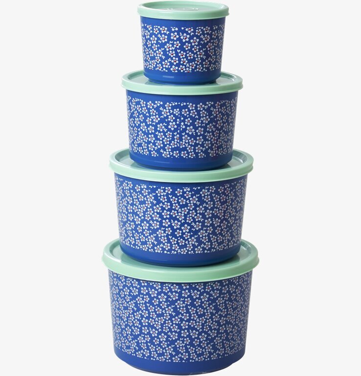 Bild av harmoniska matlådor med vinterblomsterdesign