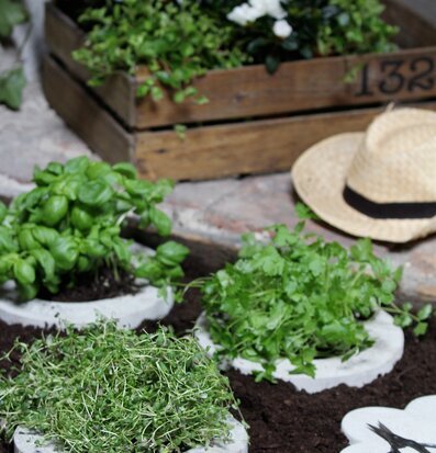 Bild av harmonisk trädgårdsscen med örter och detaljer