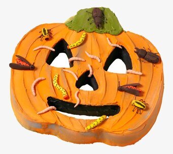 Bild av livfull Halloween tårt-/kakform i pumpastil