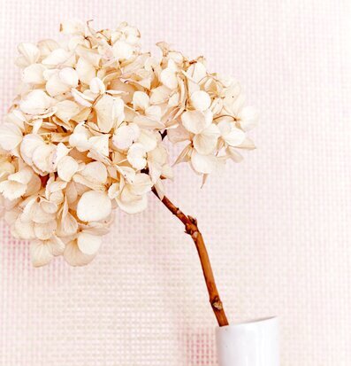 Bild av minimalistisk inredning med torkad hortensia