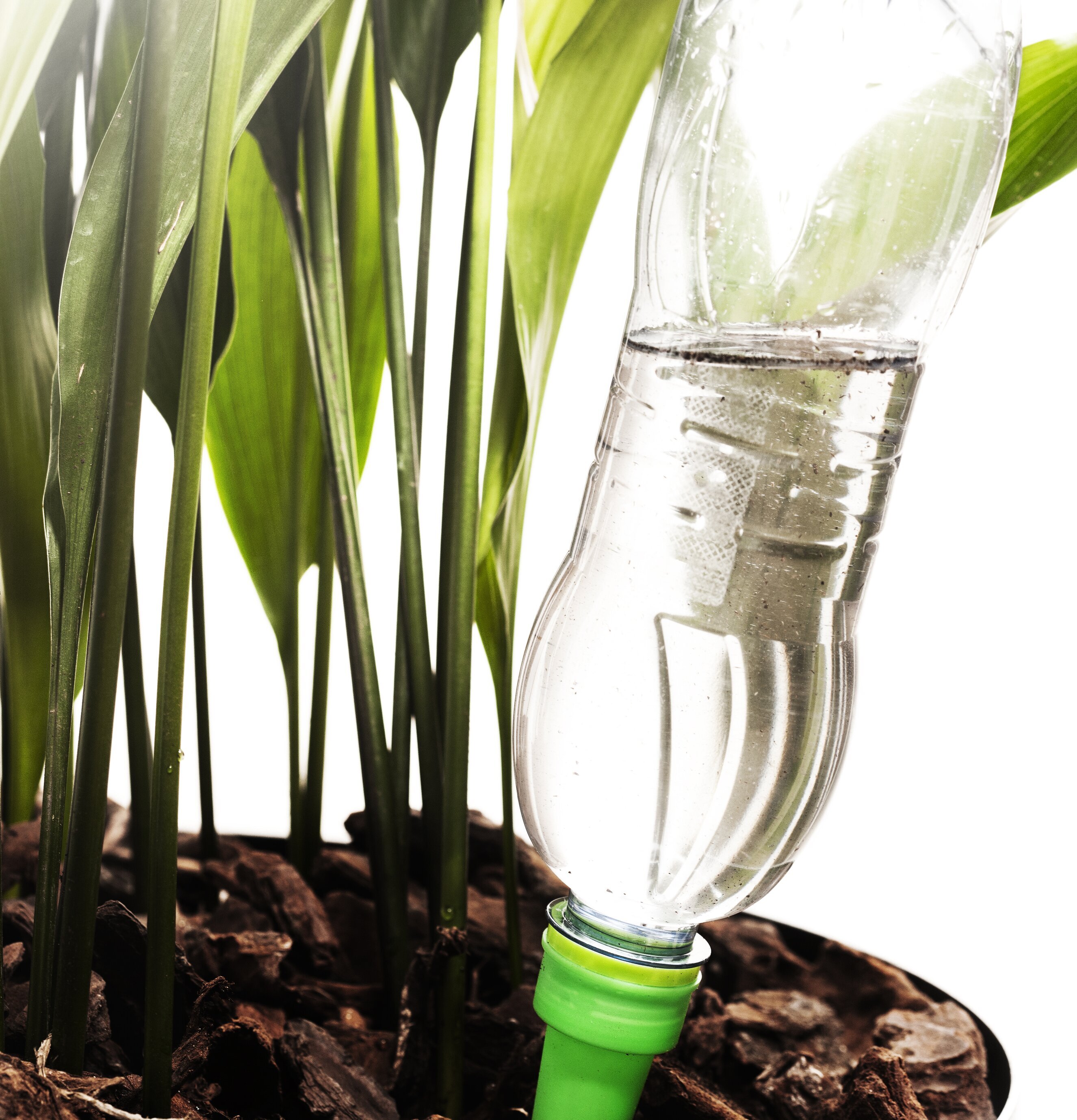 Självbevattnare från Sagaform i kruka med gröna växter