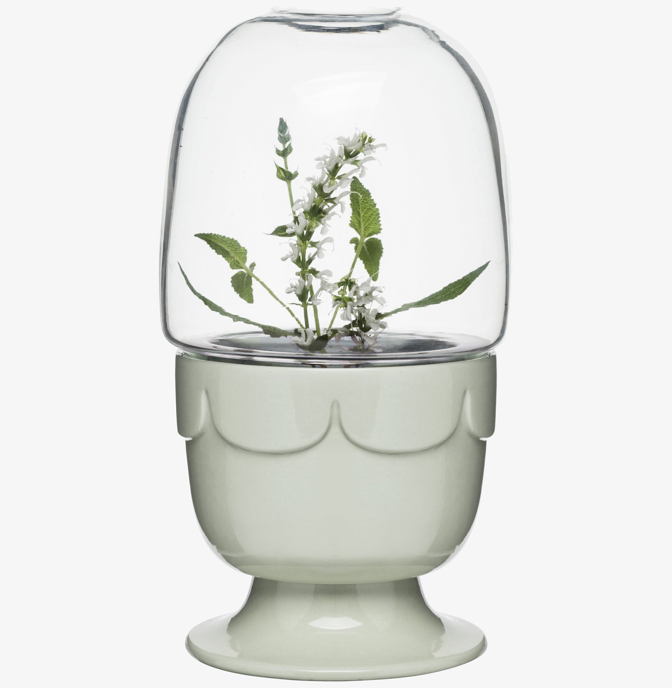 Green Drivhus På Fot Salviagrön från Sagaform med växt