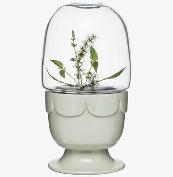 Bild av dekorativt drivhus i salviagrön nyans