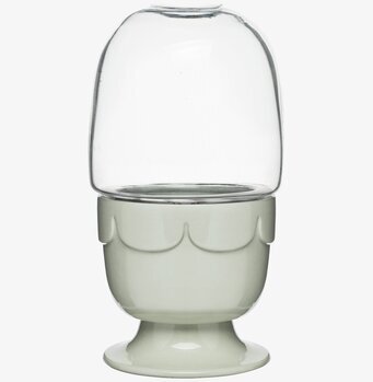 Foto av stilrent och funktionellt litet växthus