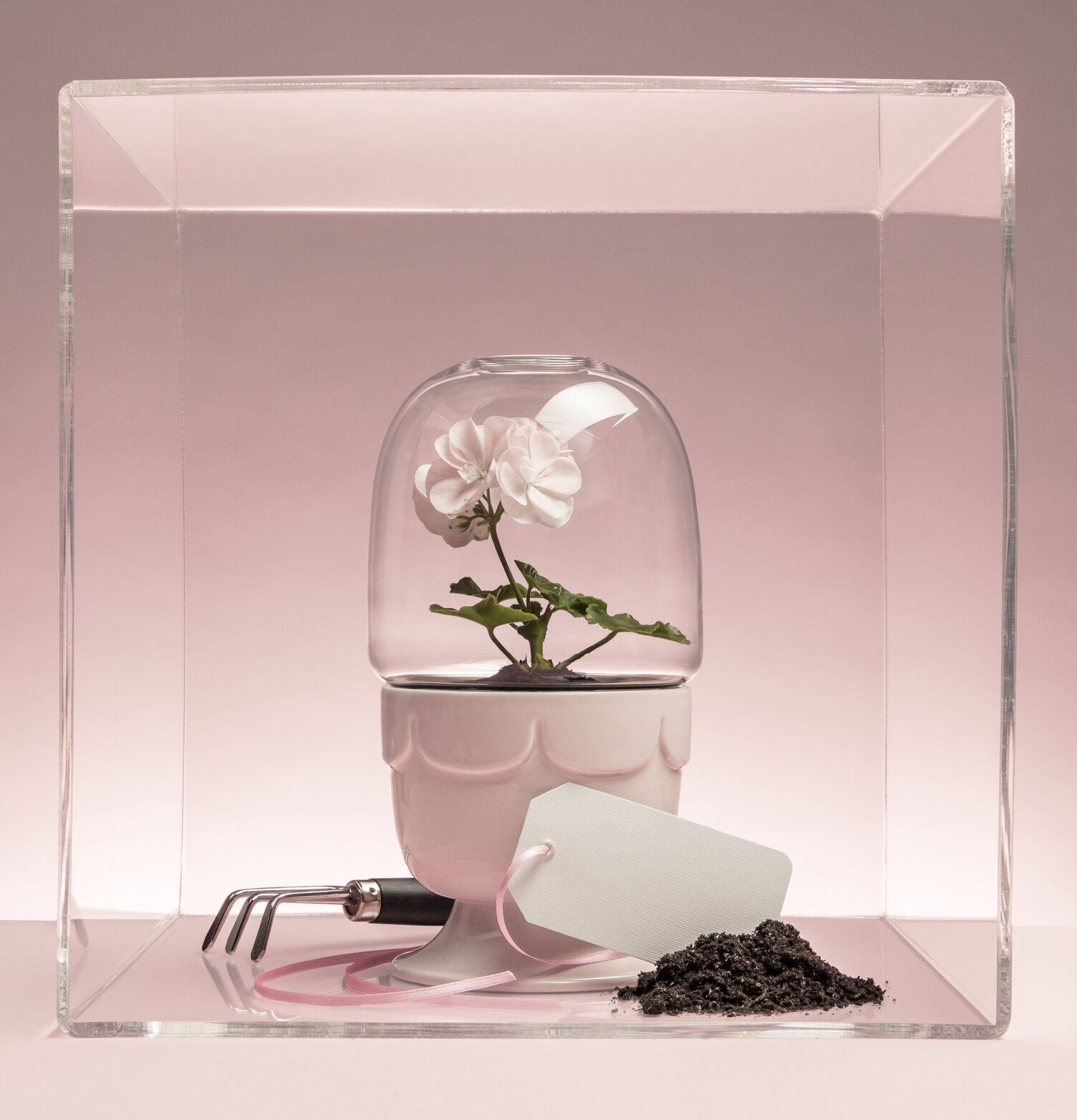 Green Drivhus På Fot Salviagrön från Sagaform med växt