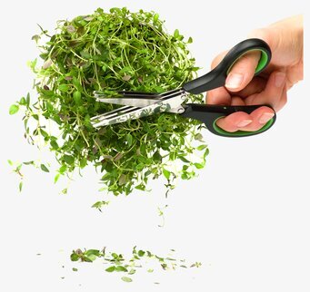 Bild av ergonomisk sax för kryddor och örter i köket