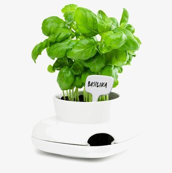 Bild av modern örtkruka med smart bevattningssystem