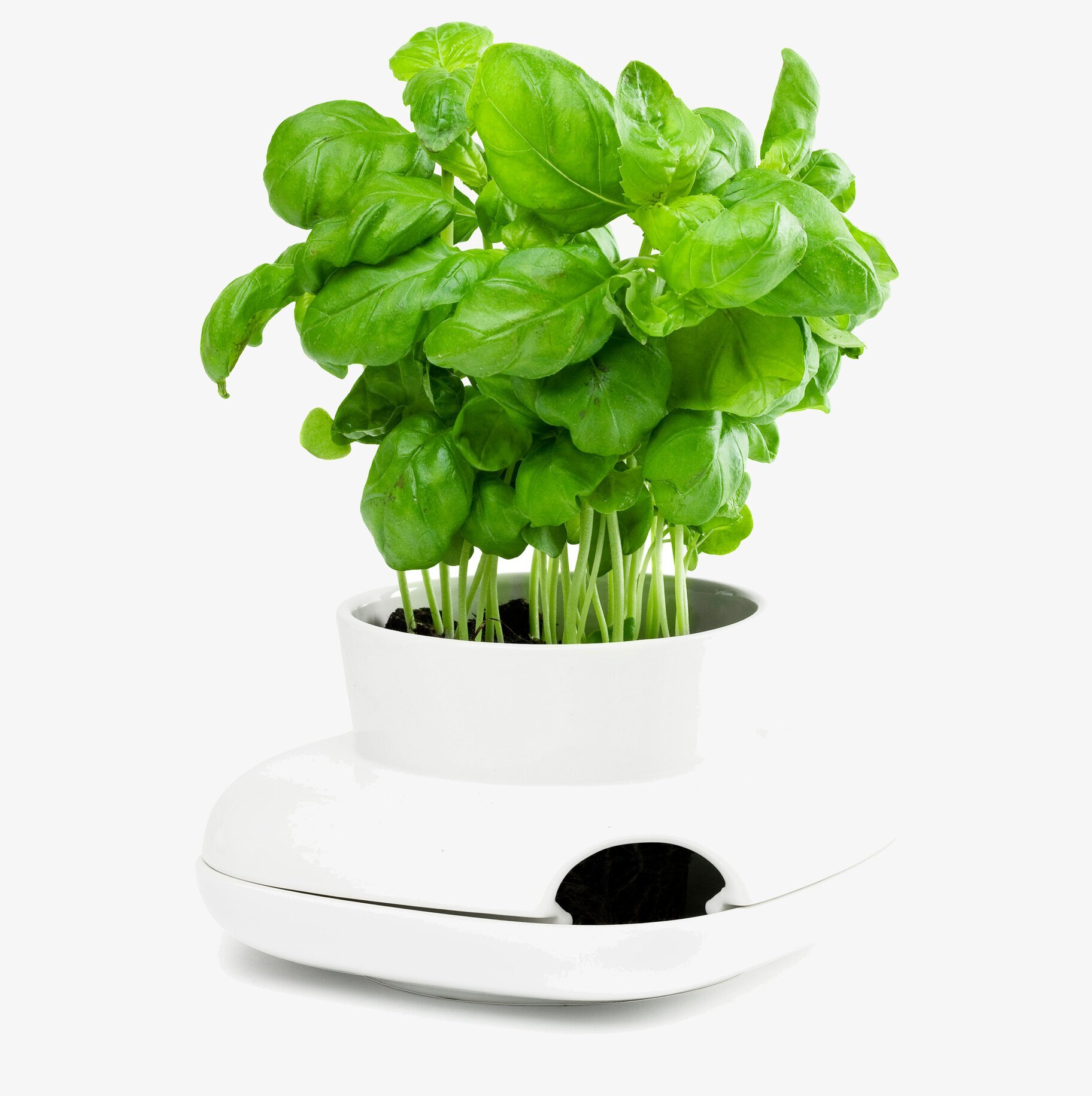 Herbs Hold Örtkruka från Sagaform med självvattnande system