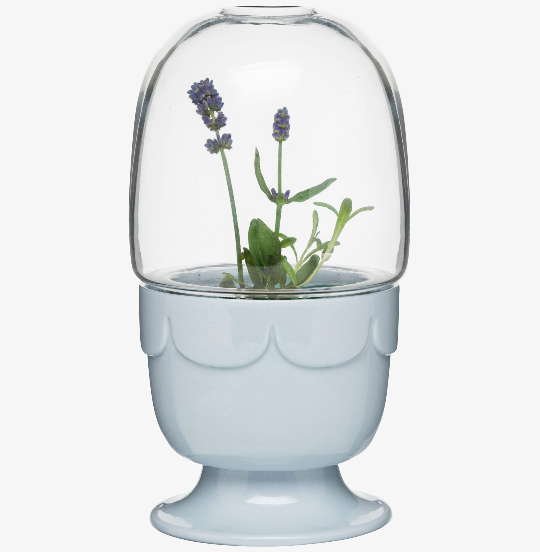 Green Drivhus På Fot Lavendel från Sagaform inomhusodling