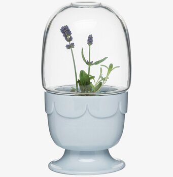 Bild av elegant drivhus med lavendel och porslinsfot