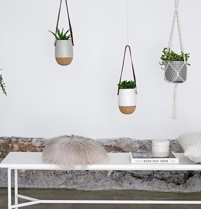 Bild av modern inredning med hängande krukor och växter