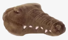 Bild av unik och intressant väggdekoration med krokodil