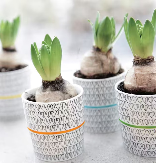 Kopp Yellow Heart 2-Pack från Mette Ditmer med växter