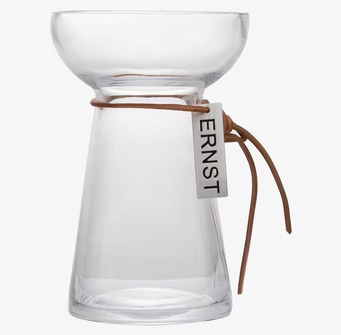 Foto av stilren hyacintvas i glas med läderdetalj