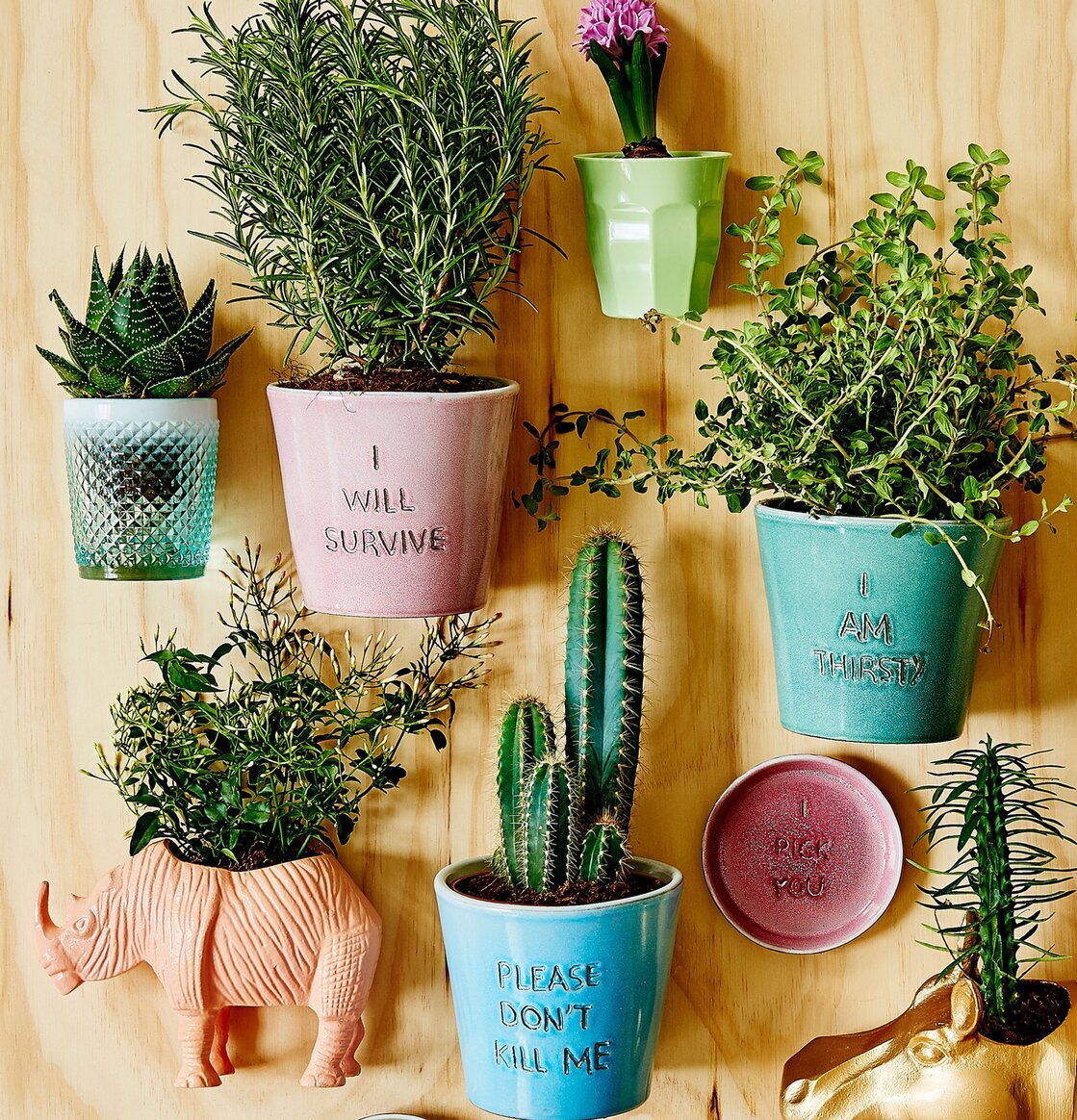 Bild med livfulla dekorationskrukor och humoristisk text