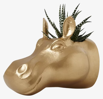 Bild av unik hängande kruka formad som flodhästhuvud