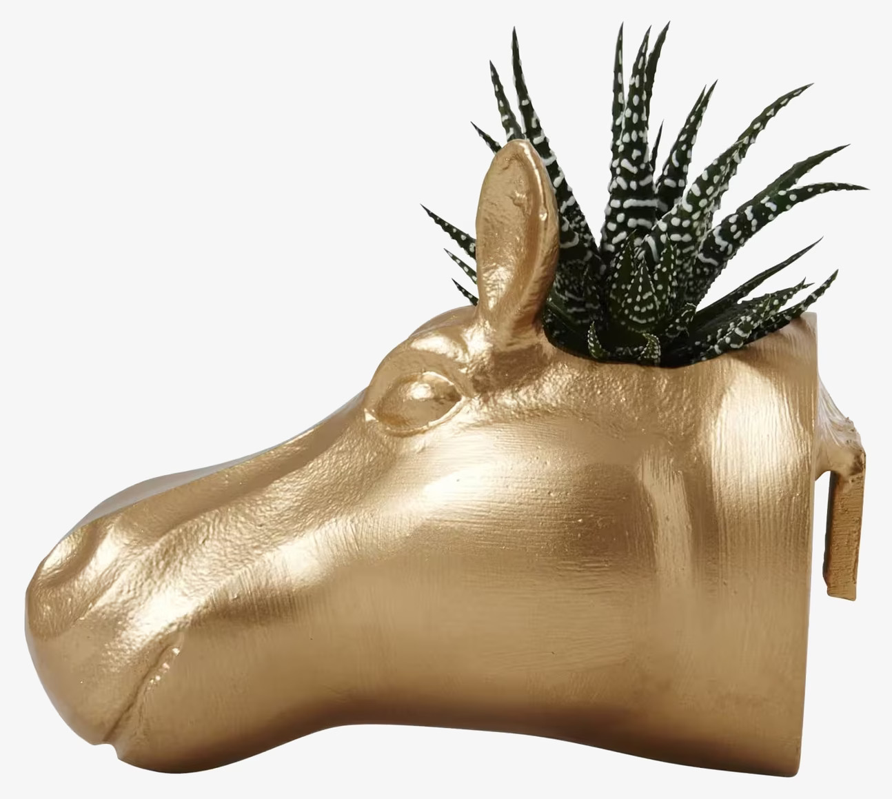 Bild: Dekorativ hängkruka som flodhästhuvud i guldfinish