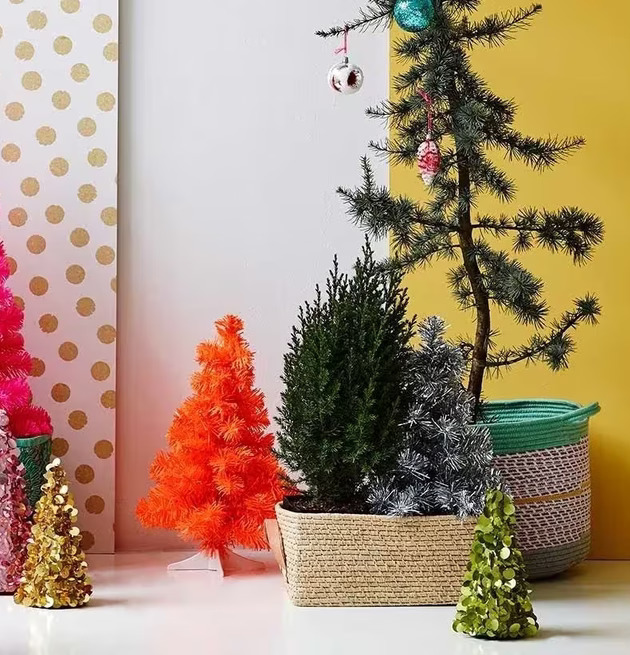 Bild med dekorativa julgranar och färggrann bakgrund