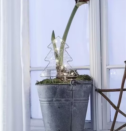 Bild av elegant fönsterdekoration med amaryllis och ljus