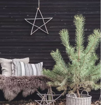 Bild av rustik utomhusdekor med trästjärnor och gran