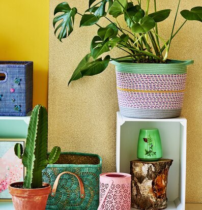 Bild av färgglad inredning med växter och korgar