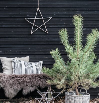 Bild av harmonisk utomhusmiljö med naturlig stil