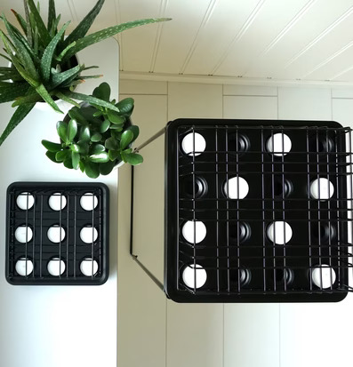 Bild av elegant och modern inredning med växter