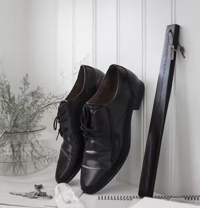 Bild av eleganta skinnskor och stilrent skohorn