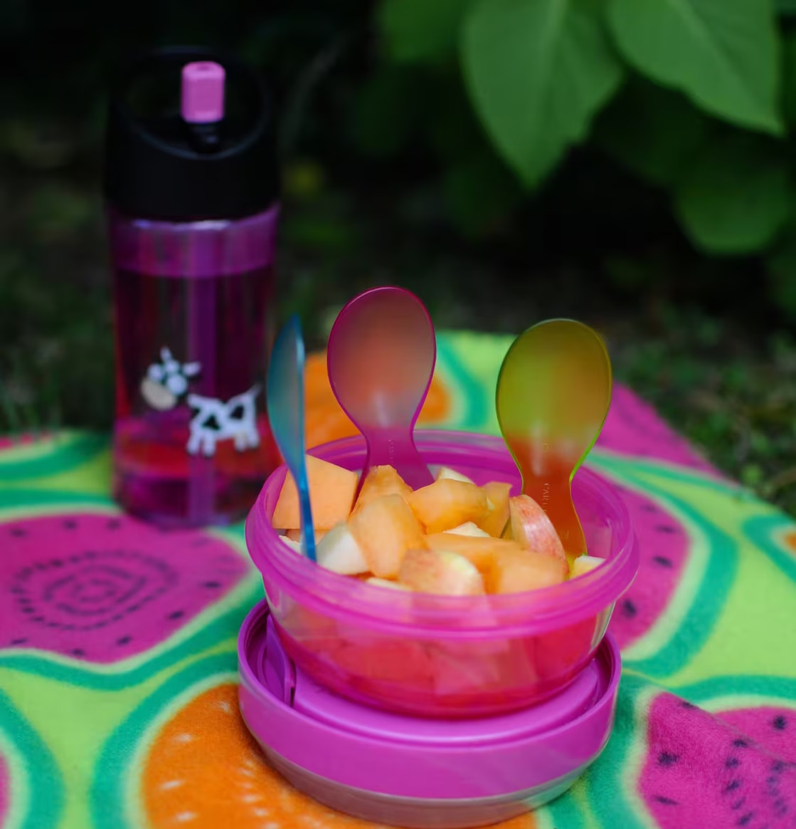 Bild av färgglad picknickscen med matlåda och flaska